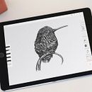 Bird.. Een project van  Beeldende kunst, Grafisch ontwerp y Traditionele illustratie van Antonio Jiménez Aparicio - 26.08.2016