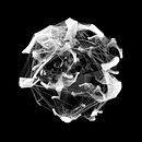 Rocky . 3D, Art Direction, and Motion Graphics project by Alexandre Azevedo - 09.06.2016