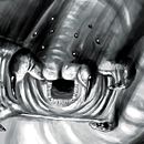 Spider worm . % Andrés Muñoz Gómez tarafından hazırlanan Geleneksel illüstras, Ve on projesi - 09.16.2016