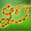 Mi Proyecto del curso: Lettering 3D: modelado y texturizado con Cinema 4D. Un proyecto de 3D, Diseño e Ilustración tradicional de Roberto Carlos Martínez Mallén - 03.11.2016