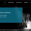 Gaticos Zgz. Projekt z dziedziny Tworzenie stron internetow, ch i Web design użytkownika JARA AINOZA FARLED - 27.09.2016