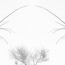 El Camino de la Dualidad. Un proyecto de Fotografía de Gisela Cutri Giménez - 02.10.2016