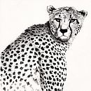 ANIMALS INK. Un projet de Beaux Arts et Illustration traditionnelle de Any Kat - 03.10.2016