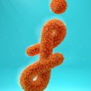 J Peluda. Un progetto di 3D di Salley R. - 04.10.2016