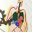 Anatomía de Venus. Artes plásticas, Colagem e Ilustração tradicional projeto de Marte - 27.10.2016