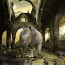  Proyecto Final Secretos del fotomontaje y el retoque creativo Ruined Rhino. Projekt z dziedziny Design użytkownika Julio López Vela - 08.10.2016