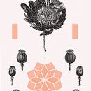 Sabia. Graphic Design, and Traditional illustration project by Dani Cambeiro - 10.12.2016