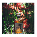 Suntory Whisky. Un proyecto de Diseño gráfico y Publicidad de Cristina González - 14.03.2016