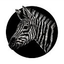 Animalia I. Projekt z dziedziny Trad, c, jna ilustracja,  R i sunek użytkownika Vir Martín - 18.01.2017