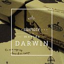 DARWIN, Set de librería. Un proyecto de Diseño gráfico, Ilustración tradicional y Packaging de Rocío Giunta - 19.12.2014