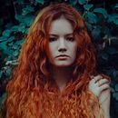 Forest. Photograph project by Diego H. Aguirre - 10.15.2016