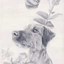 animal.vegetal.mineral. Projekt z dziedziny  Sztuki piękne, Trad, c i jna ilustracja użytkownika marta zafra - 27.10.2016