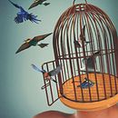 Libertad. Un projet de Collage , et Publicité de Gabriela Molina - 30.10.2016