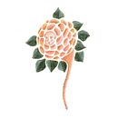 Patrones de flores y cabezas. Un projet de Illustration traditionnelle de Camila Vilches Tapia - 15.11.2015