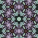 Kaleidoflowers. Un proyecto de Bellas Artes, Collage, Dirección de arte, Diseño, Diseño gráfico y Fotografía de María Rogles - 15.11.2016