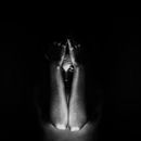 Demons, lights and echoes . % Patricia Hernández tarafından hazırlanan Güzel sanatlar, Ve Fotoğrafçılık projesi - 09.27.2016