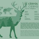 Ejemplo Plafó EL CÉRVOL Ein Projekt aus dem Bereich Design von hectormolinerovives - 30.11.2016