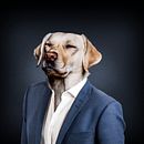 THE BOSS. Art Direction, Design, Character Design, and Photograph project by Nicolas Rojas - 12.04.2016