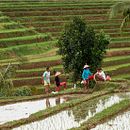 Indonesia 2016. Un progetto di Fotografia di Marian Gumà - 07.12.2016