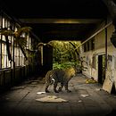 Mi Proyecto del curso: Secretos del fotomontaje y el retoque creativo. Een project van  Ontwerp van cabanillas - 09.12.2016