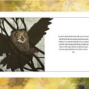 cuento señor topo. Un progetto di Illustrazione tradizionale di German Javaloyas - 28.12.2016