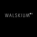 Best of Walskium Studio (Video Reel 2017). Un projet de Cinéma, vidéo et télévision de Walskium Studio - 01.11.2017