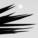 Nuestro Proyecto del curso: Las leyes de la percepción visual: unidad, peso, equilibrio y movimiento. Un proyecto de Fotografía de tuke yoke - 11.01.2017