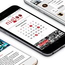 Nigloo app. Graphic Design, Interactive Design, and UX / UI project by Ana Arias Vaquerizo - 01.12.2017