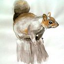 Ardilla Gris. Un proyecto de Bellas Artes, Ilustración tradicional y Pintura de María Sánchez Sierra - 15.01.2017