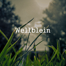 Wellblein Website. Un proyecto de Desarrollo Web, Diseño interactivo, Diseño Web y UX / UI de NO — CODE - 16.01.2017