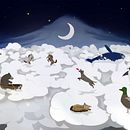 EL CIELO DE LOS ANIMALES. Un progetto di Illustrazione tradizionale di Luis Carvalhosa - 20.01.2017