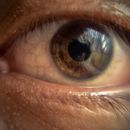 Mi Proyecto del curso: Revelado de archivos RAW con Lightroom Ein Projekt aus dem Bereich Fotografie von gabrielgarrote95 - 30.01.2017