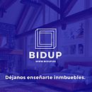 Bidup. Br, ing e Identidade, Direção de arte, Design gráfico, e Web Design projeto de Aleks Figueira - 31.01.2017