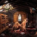 El Arca de Muerte . Un progetto di Direzione artistica di Israel Manosalvas - 01.02.2017