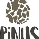 Pinus. Turismo rural ecológico. Br, ing & Identit project by Elena Gil - 02.01.2017
