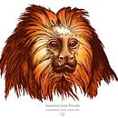 Animalia. Projekt z dziedziny Trad, c, jna ilustracja i Edukacja użytkownika Laura Macías Álvarez - 05.02.2017