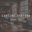 Cantina Station. Animation, Br, ing, Identit, Art Direction, Graphic Design, Web Design, Traditional illustration, and UX / UI project by BlauBear Design Studio - 02.14.2017