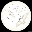 Flying Birds Pattern print Design. Un projet de Beaux Arts, Design  et Illustration traditionnelle de Sofia Ugarte - 15.02.2017