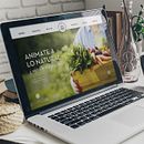 San Jose - Web Institucional Ein Projekt aus dem Bereich Webentwicklung, Design, Grafikdesign, Webdesign und UX / UI von Mariana Lopez Neugebauer - 19.11.2016
