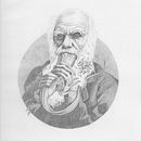 BARBAS. Fine Arts, and Traditional illustration project by Jaume Aguirre i Puig - 04.23.2018