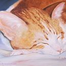 DEMO REEL AINHOA CAÑAVERAS PASTOR . Arte plastice de Ainhoa Cañaveras Pastor - 06.18.2014