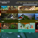 Sitio web de Biodiversidad mexicana. Un projet de Webdesign de Fabiola López Saldaña - 01.06.2016