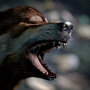 Lobo 3D. Un progetto di 3D di David Martínez - 23.03.2017