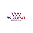 Voicewave - Analytics app. Br, ing, Identit, Graphic Design, and Marketing project by Ángel Plaza - 03.24.2017