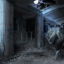 Mi Proyecto del curso: Secretos del fotomontaje y el retoque creativo con Carles Marsal. Een project van  Ontwerp van Franco Ñato Bengoa - 24.03.2017