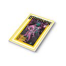 Revista - Otherview. Un proyecto de Bellas Artes, Cine, Collage, Diseño, Diseño editorial, Diseño gráfico, Fotografía y Tipografía de Andrea Arocena - 07.04.2017