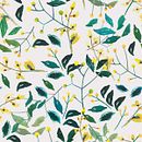 MIZDEN / Boutique de regalos. Un proyecto de Br, ing e Identidad, Dirección de arte, Diseño, Diseño gráfico e Ilustración tradicional de Erin Herrera - 10.04.2017