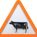 Visual&Cow. Een project van Architectuur e Interieurontwerp van Dídac Sabatés Zanuy - 17.04.2017