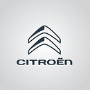 Rouge Automobiles - Concesionario Oficial de CITROËN. Un proyecto de Br e ing e Identidad de Damián Aquino - 03.05.2017