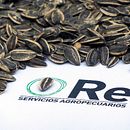 Re Agroservicios. Een project van  Webdevelopment van SystemIdea - 04.05.2017